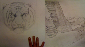 cours-de-dessin