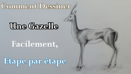 Comment-dessiner-une-gazelle_tn