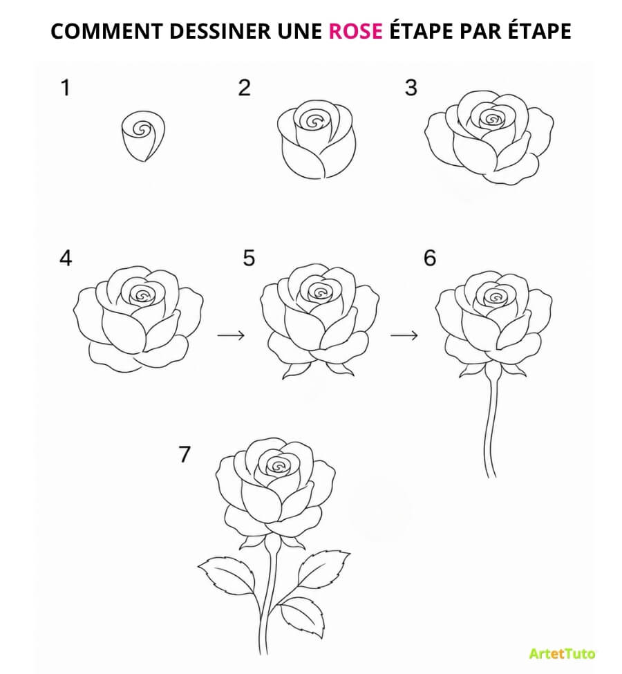 Comment dessiner une rose facilement étape par étape