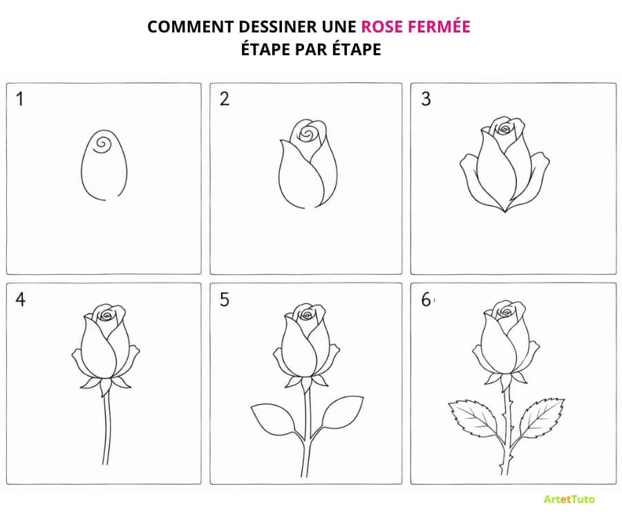 Comment dessiner une rose fermee etape par etape