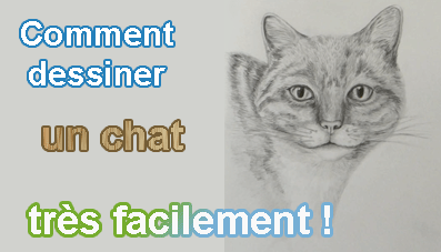 Comment Dessiner Un Chat En 8 étapes Faciles Apprendre A