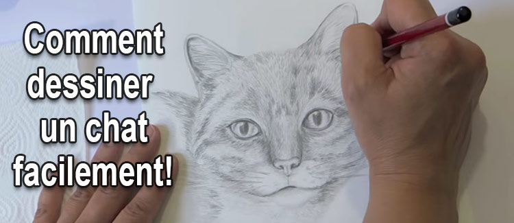 comment dessiner un chat facilement