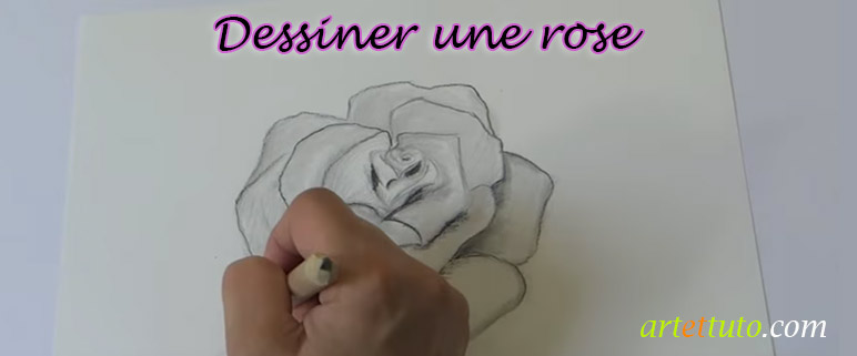 Dessin de rose