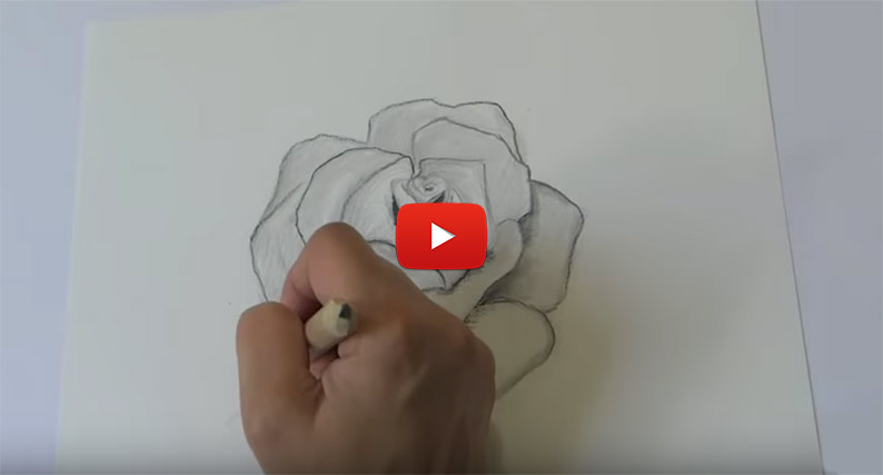 tutoriel de dessin de rose