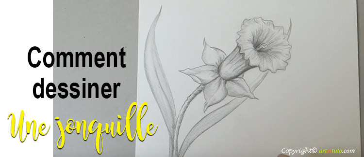 Comment dessiner une jonquille facilement