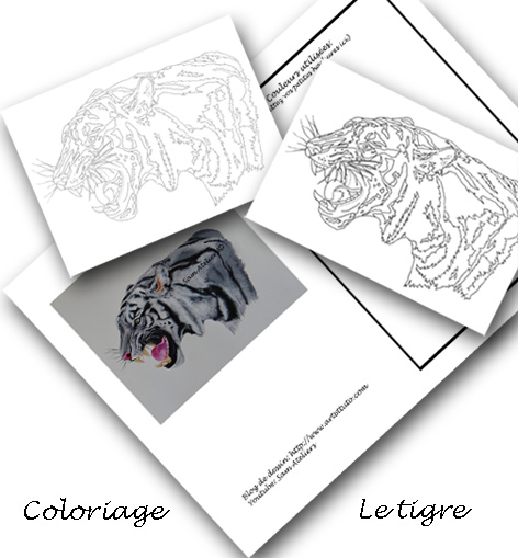 coloriage du tigre