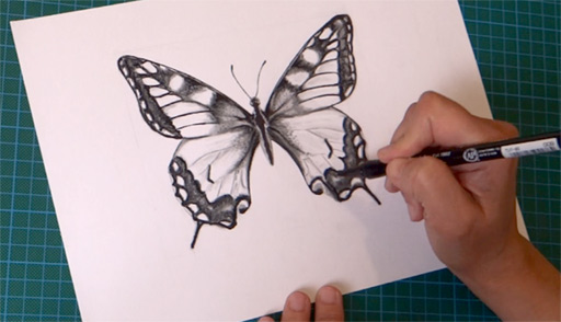 how-to-draw-a-butterfly