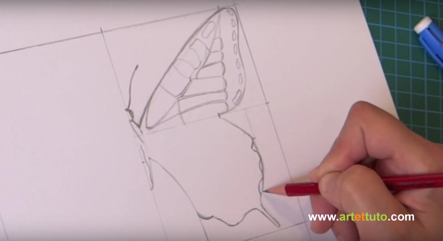 papillon dessiner