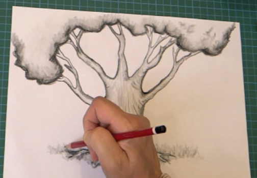 Comment dessiner un arbre réaliste au crayon 