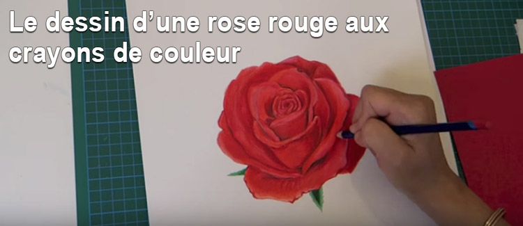 Comment dessiner une rose avec des crayons de couleur