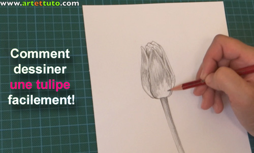 Comment dessiner une tulipe facilement