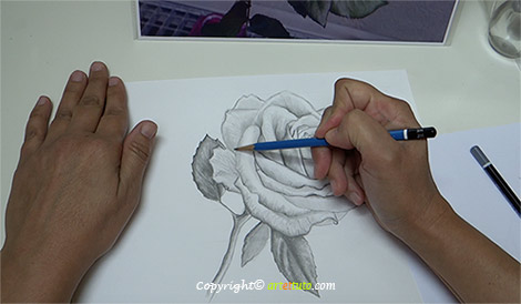 tuto-dessin-rose formation dessin de rose pas à pas