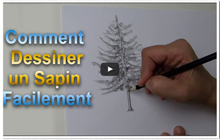Apprendre à dessiner un sapin