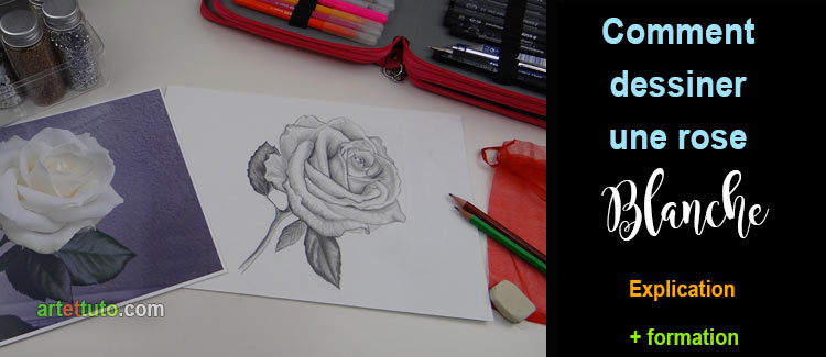 Comment dessiner une rose blanche