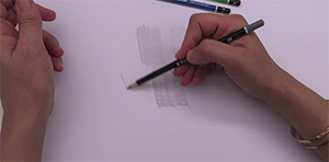 formation-rose-cours-dessin