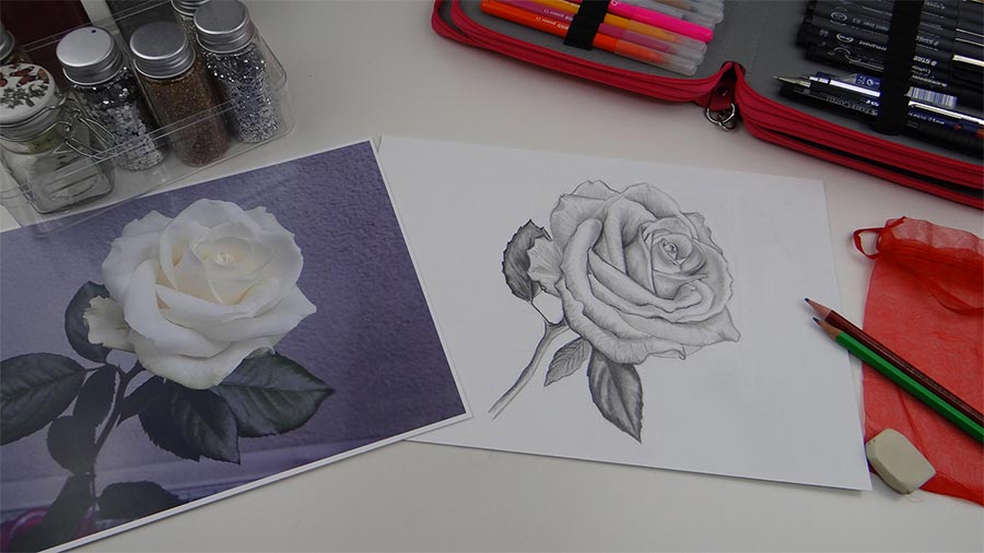 dessin-de-rose-presentation-arriereplan dessin de rose presentation arriereplan