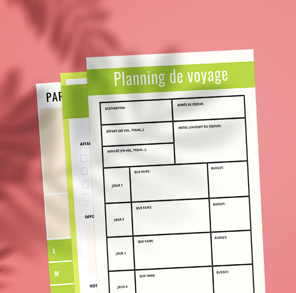 organisateur de voyage