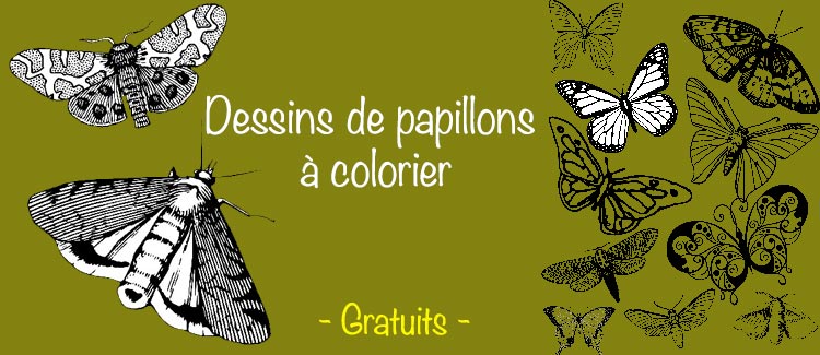 Images De Papillons à Imprimer Et à Colorier Apprendre A