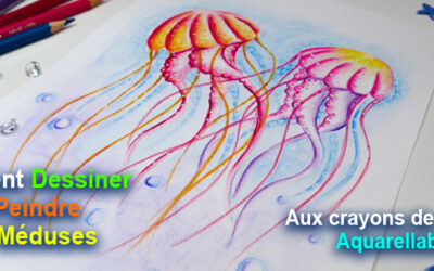 Utiliser les crayons de couleur aquarellables pour dessiner des méduses