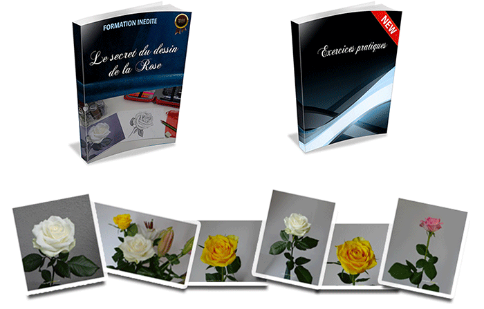 livre-de-rose-apprendre-a-dessiner livre pour apprendre à dessiner une rose
