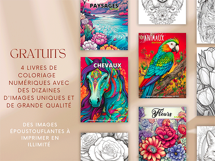 Formation coloriage pour adulte