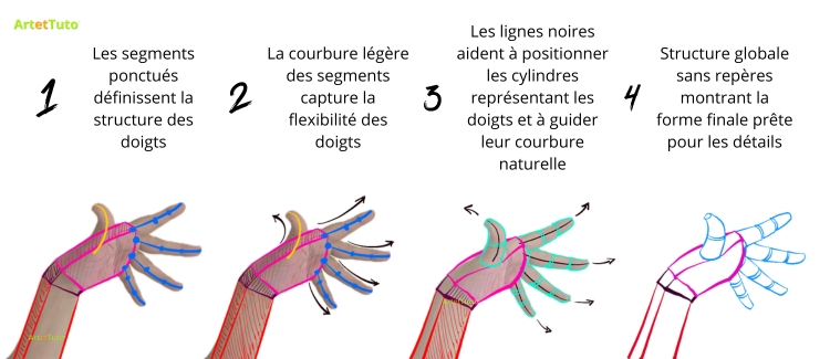Comment dessiner une main étape par étape avec des lignes de structure